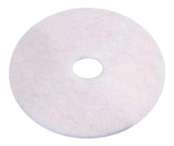 Rental store for PAD, 13  X 1  FLOOR WHITE in San Jose CA